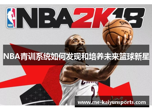 NBA青训系统如何发现和培养未来篮球新星