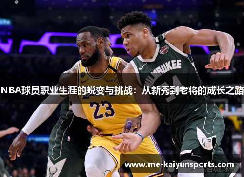NBA球员职业生涯的蜕变与挑战：从新秀到老将的成长之路