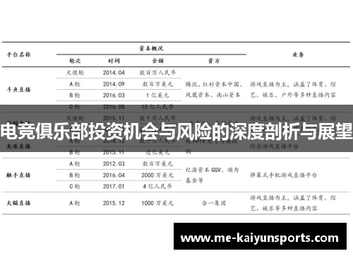 电竞俱乐部投资机会与风险的深度剖析与展望